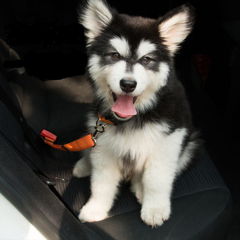 PawzPort Adjustable Dog Car Seatbelt – Safety Harness & Travel Lead