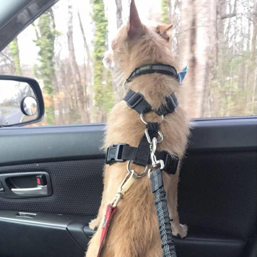 PawzPort Adjustable Dog Car Seatbelt – Safety Harness & Travel Lead